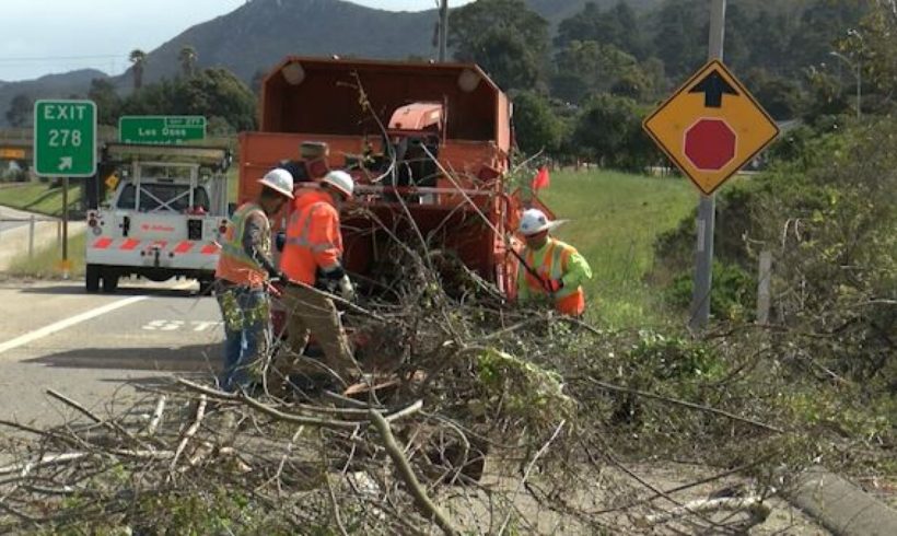 Vegetation being cleared along side of Hwy 1 in Morro Bay